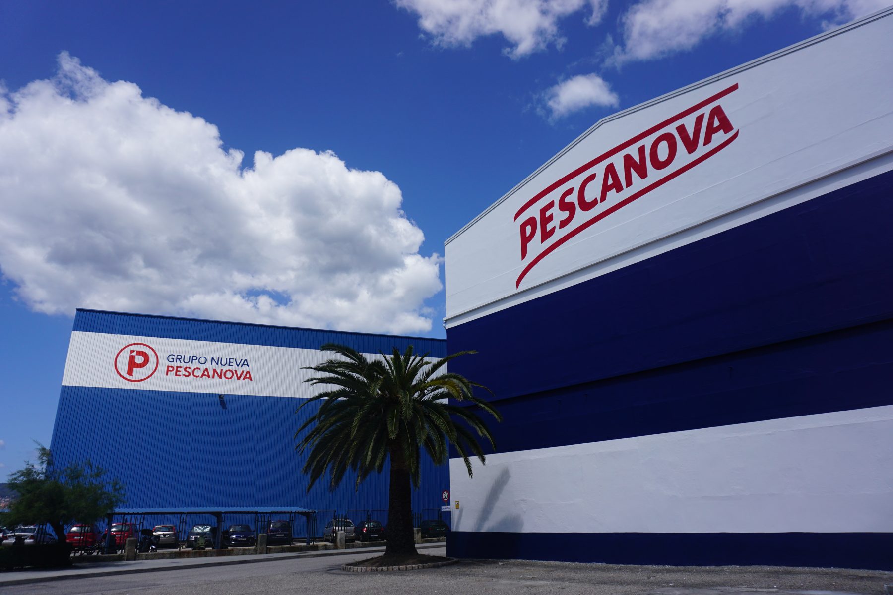 Our history – Nueva Pescanova