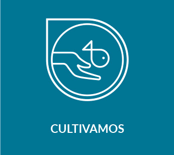 cultivamos