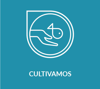 cultivamos_on