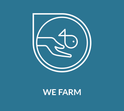 we_farm