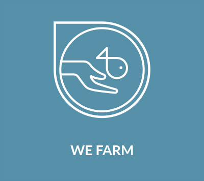 we_farm1