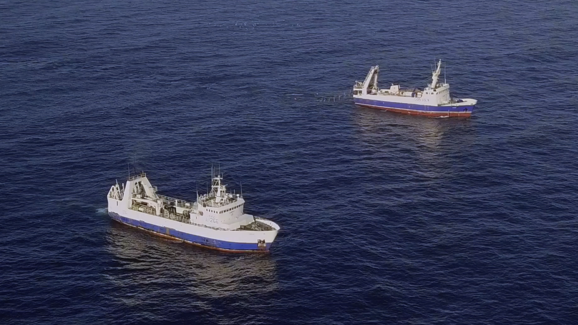 barco2